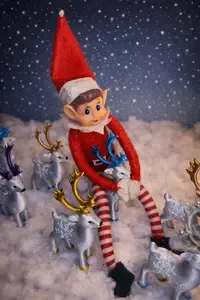 Rampenissen rir på julenissens reinsdyr